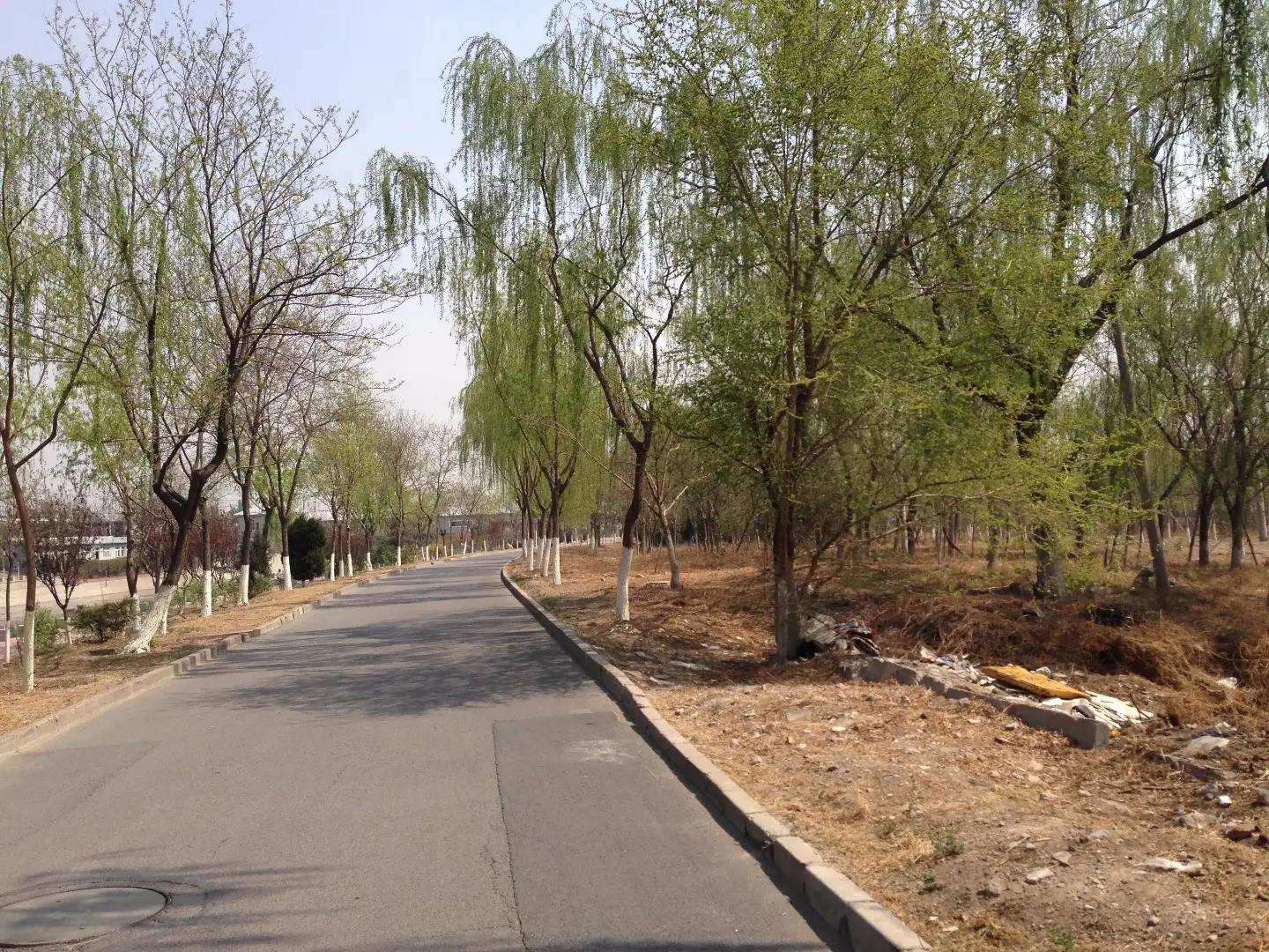 骑行路线图