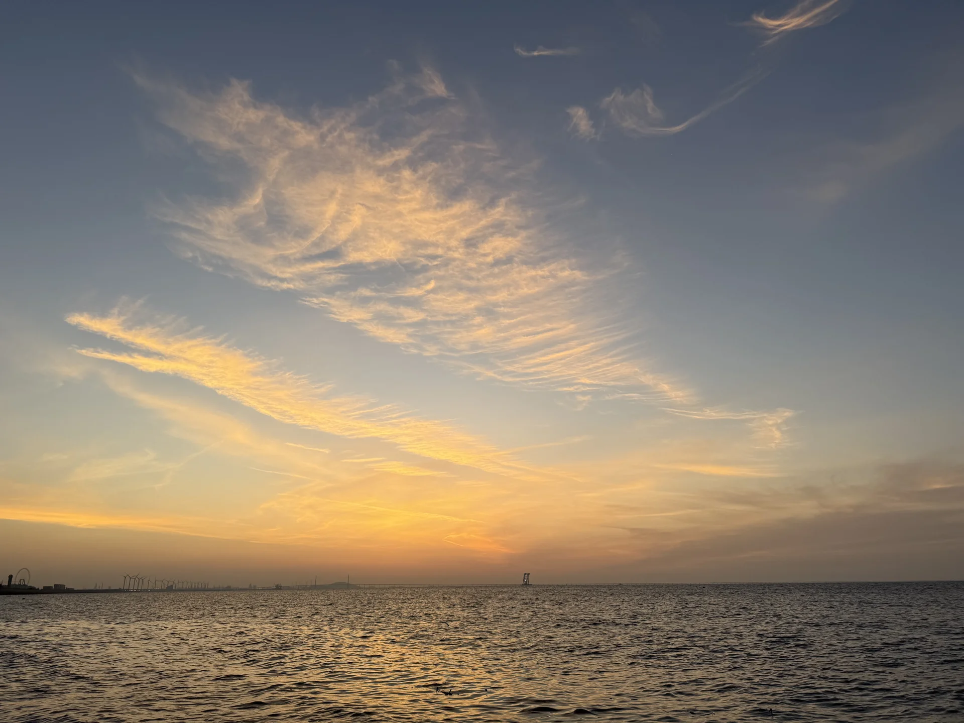 IMG_8830.jpeg
