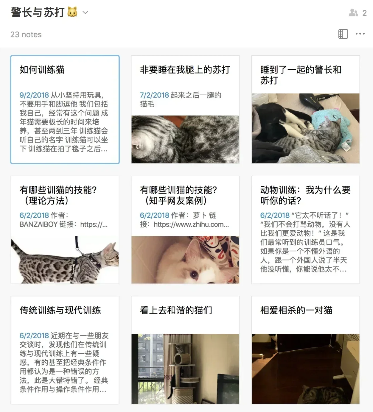 猫咪笔记本