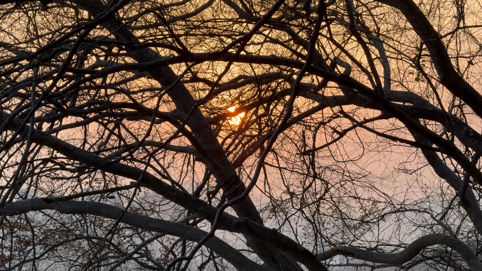 江心屿历史建筑